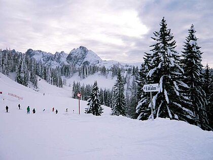 18.-20. Januar 2013 Chorskifahren in Gosau